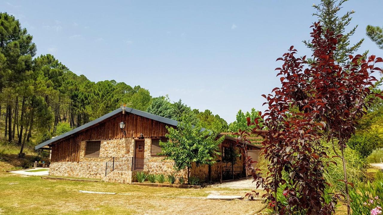 Chalet Esmeralda 3 D Y 2 Banos Zafiro Lagunazo Parque Natural Rio Mundo Riopar Exterior photo