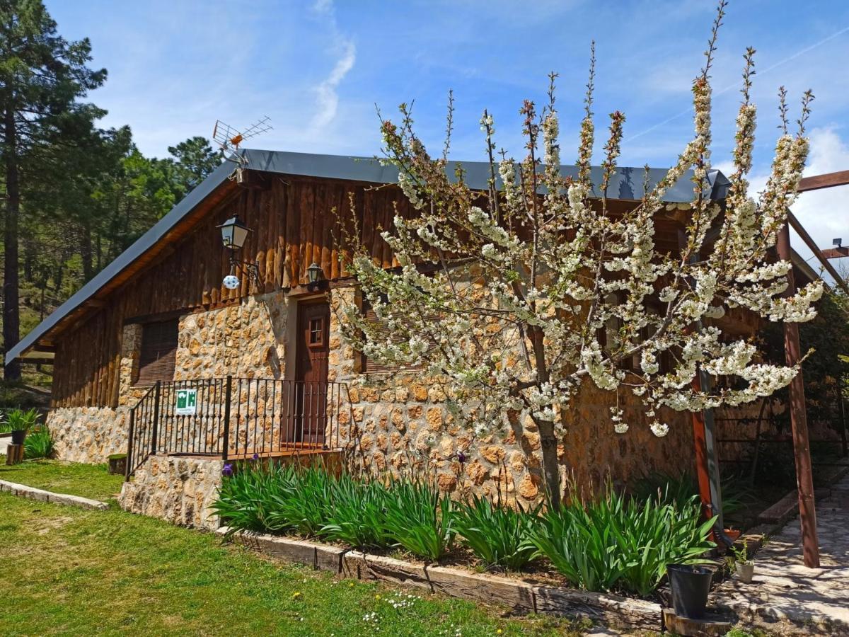 Chalet Esmeralda 3 D Y 2 Banos Zafiro Lagunazo Parque Natural Rio Mundo Riopar Exterior photo